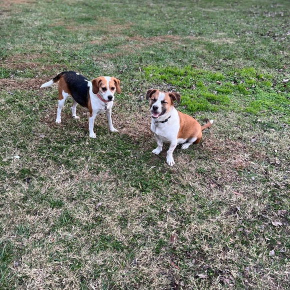 Meet your Posher, Erin - Picture 3 of 4